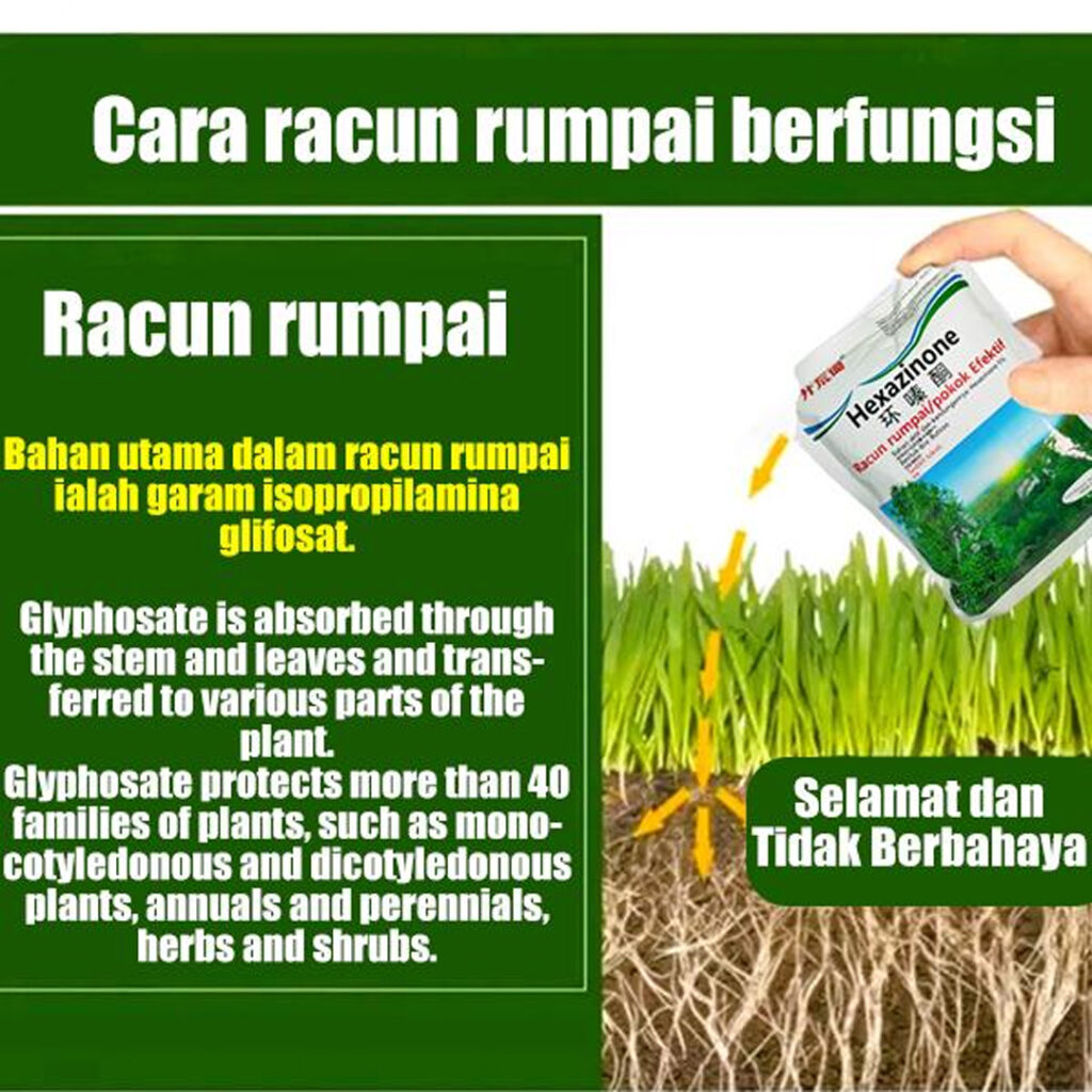 Racun Rumput – makciknakorder.com